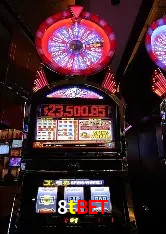 8tbet Brasília - Betting Features